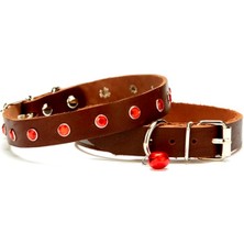 TeknoKapsül Taşlı Kedi ve Yavru Köpek Tasması 1,2X26 cm Kahverengi Large