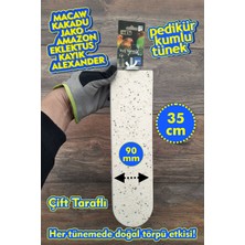 Vixpet Venty 35 cm Çift Taraflı Kumlu Pedikür Papağan Tüneği | Jako, Amazon, Macaw, Kakadu, Eklektus, Alexander, Kayık, Monk - V836