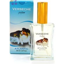 TeknoKapsül Verseche Atlantic Kedi Köpek Parfümü Cam Şişe 50 ml