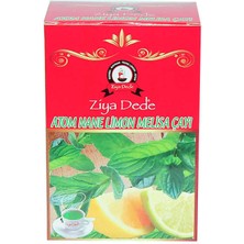 TeknoKapsül Atom Nane Limon Melisa Küp Şeker Çayı 140 gr