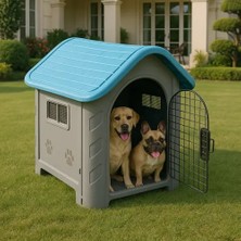 Pileli Store Dayanıklı Plastik Köpek Evi
