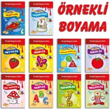 TeknoKapsül Örnekli Boyama Dizisi 10 Set