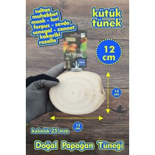 Vixpet Venty Doğal Ağaç Kütük Papağan Tüneği | Kütük Kuş Tüneği | Sultan, Konur, Monk, Lori, Senegal, Muhabbet, Forpus, Sevda, Cennet