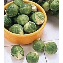 Bilgarden Doğal Long Island Improved Brüksel Lahanası Tohumu (50 Tohum)