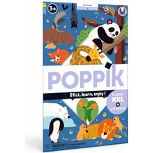 Poppik Discovery Sticker Poster  Good Night DIS047