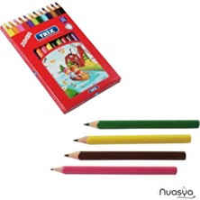 Trix Class 12 Renk Kuru Boya Seti Çok Renkli Kalın Gövde ile Dayanıklı 12 Parça Boyama