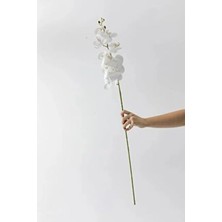 Defne Decor Yapay Islak Orkide Çiçeği Lüx Beyaz Tek Dal 100 cm
