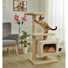 Turkuaz Tırmalama  TR311 Kedi Evi Tırmalama