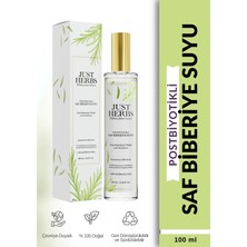 Just Herbs Postbiyotikli Biberiye Suyu 100 ml %100 Saf ve Doğal Pure Rosemary Water With Probiotics