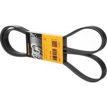 Continental V Kayışı Golf 1,4 Tsı