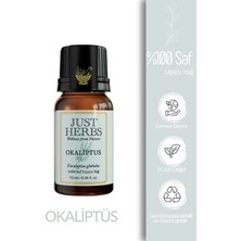 Just Herbs Okaliptus Yağı 10 ml %100 Saf ve Doğal Eucalyptus Globulus Leaf Oil