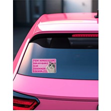 Baskımer Acemi Sürücü Sticker –22X13 cm Su Geçirmez–yeni Sürücü Araba & Motosiklet Cam&kaporta Sticker Kedili