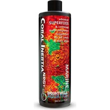 Corals ŞARZ GERGİ KASNAĞI 1,4 TSI 1,6 FSI