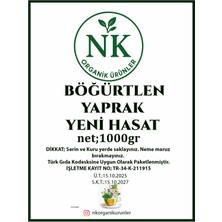 Nk Organik Böğürtlen Yaprak Yeni Hasat 1kg