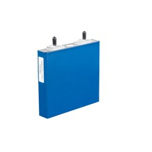 Eve Lifepo₄ 3.2V 50AH Prizmatik Pil Hücresi