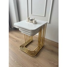 4'lü Tekerlekli Modern Zigon Sehpa