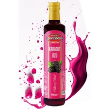 Bozkırlı Çavuşoğlu Doğal Katkısız Karadut Özü 680G Türkiye Menşeli Yüksek Kalite İçecek