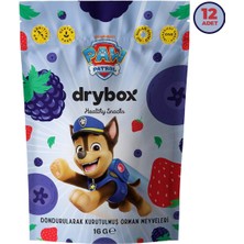 Drybox Paw Patrol Dondurularak Kurutulmuş Orman Meyveleri 12’li