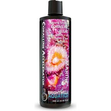 Corals Silindir Kapağı Crafter/t6/daua/daub/dasa/dava/cxhb/cxfa/cxha 2.0 Tdı 16>