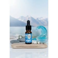Pote Aroma Okyanus Esansı 10ML Uçucu Buhurdanlık Oda ve Ortam Kokusu