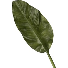 Mikasa Moor Yeşil Yapay Yaprak 88CM