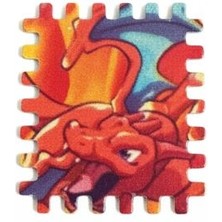 Shaco Design Vintage Charizard Pokemon Pul Koleksiyon