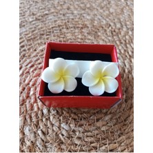 C&On Design ⭐ Lotus Çiçeği Küpe - Işıltılı ve Zarif Tasarım, Kadın Aksesuarı--Beyaz