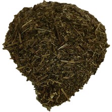 TeknoKapsül Sinirli Yaprak Otu Sinirli Ot Doğal 100 gr Paket