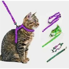 Evcil Hayvan Kedi Tasması Midastech