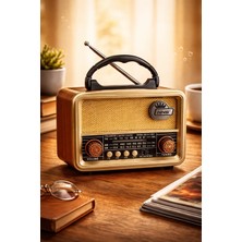 Telkur NS-8110BT Nostaljik Radyo Görünümlü Bluetooth,hafıza Kartı,usb Bellek,aux ve Radyo Destekli Hoparlör Gri