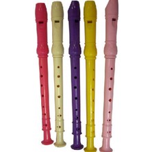 Ciyu Ticaret Renkli Plastik Flüt Ilkokul Müzik Dersi Flüt Renkli Plastik Flüt