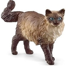 SHC4200 Schleich Ragdoll Kedi
