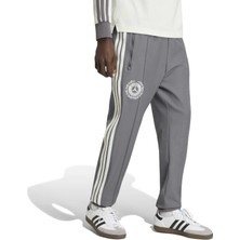 Adidas Erkek Günlük Eşofman Altı Mer Sa Icn Pnt KR3571