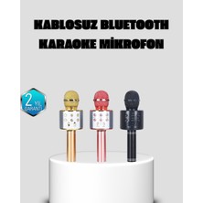 Taşınabilir Karaoke Mikrofon – Bluetooth, USB ve Aux Girişli - Lisinya