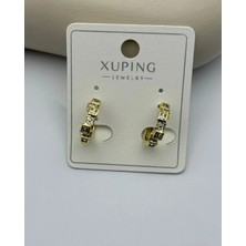 Biju Yılmaz Xuping Gold Kare Taşlı Halka Küpe -25-XPKP112