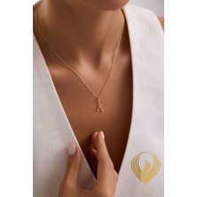 Anka Collection Constellation Serisi Yengeç Takımyıldızı Minimal Tasarım 925 Ayar Gümüş Kolye