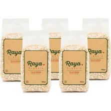 Raya Organik Organik Yulaf Ezmesi 300 gr x 5’li Paket