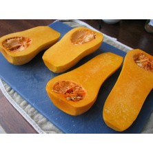 Lavanta Şarköy Butternut Kabak Tohumu