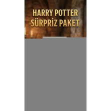 Aesco Harry Potter Temalı Sürpriz Figür Koleksiyonu Oyuncak Seti