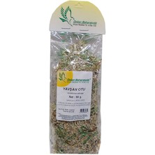 Indispensablely Doğal Yavşan Otu 50 gr Paket