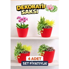 Modern Kırmızı Saksı Seti (4 Adet) | Orkide ve Ev Bitkileri Için