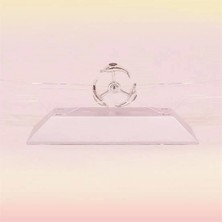 AyrStore Buğz Dekoratif Masa Üstü Obje Manyetik Kinetik Orbital Dönen Yunuslar