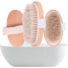 AyrStore Buğz Parlak ve Pürüzsüz Görünüm Sağlayan %100 Doğal At Kılı Selülit Fırçası (Oval)