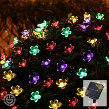 Cngzhn Solar 30 Ledli Çiçekli Rgb Bahçe Aydınlatma Dekorasyon Güneş Enerjili