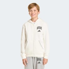 Adidas Sportswear KD4395 SEASONALS COLLEGIATE TYPOGRAPHY HOODY