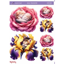 Lineart LNT606 Marine Desenli BORDÜR25*35 cm Açık Zemin Sulu Transfer