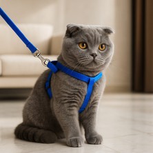 Genel Kedi Göğüs Tasması + Gezdirme Kayışı Seti | Ayarlanabilir | Renkler Karışık Gönderilir