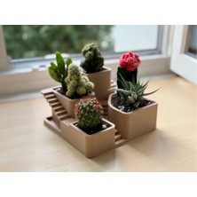 Genç 3D Mimari Tasarım Merdivenli Sukulent Saksısı Modern Merdivenli Bitki | Katlı Dekoratif Kaktüs Saksısı