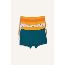 DeFacto Desenli Penye 3'lü Boxer Erkek Çocuk H5942A826SM