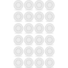 Nazarone 24'lü Set Disket Toplu Iğne Beyaz (Viva Başlı)